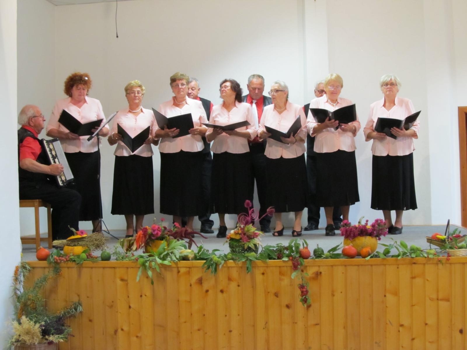 Fotogaléria Mesiac úcty k starším posedenie JDS (7) Mesiac úcty k starším posedenie JDS